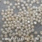 6438 button pearl about 1.5-1.75mm.jpg